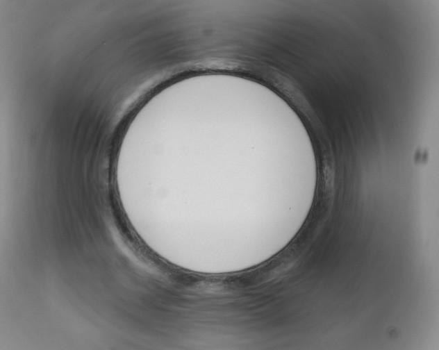 X0000112520534200908171115