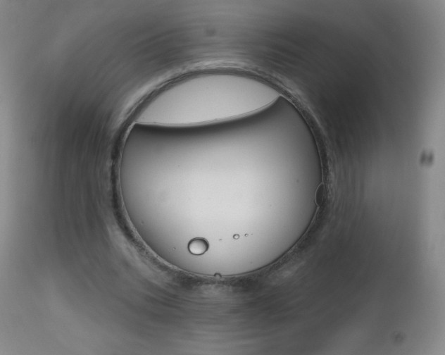 X0000112520535200908171115