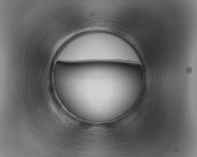 X0000112520536200908171115