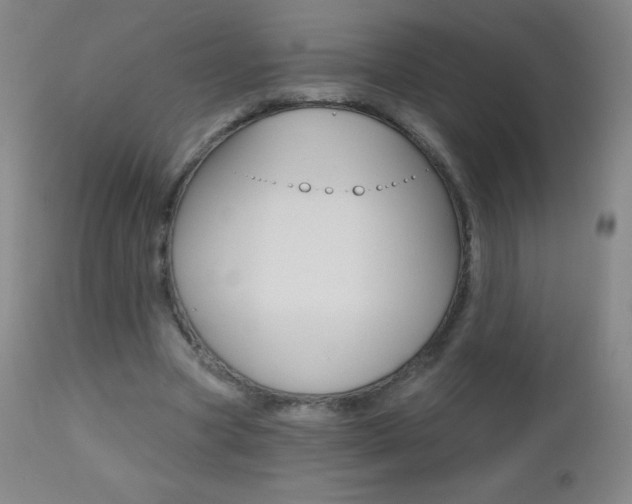 X0000112520537200908171115