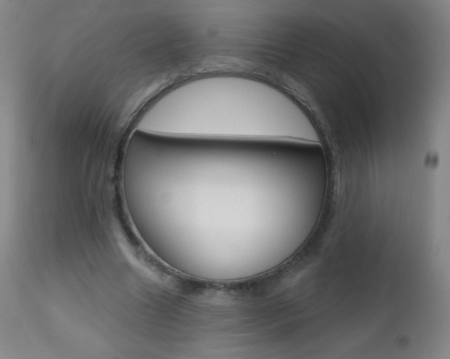 X0000112520538200908171115