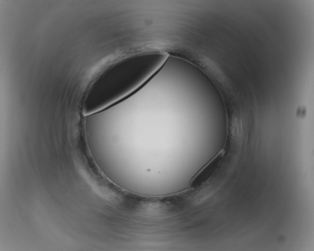 X0000112520540200908171115