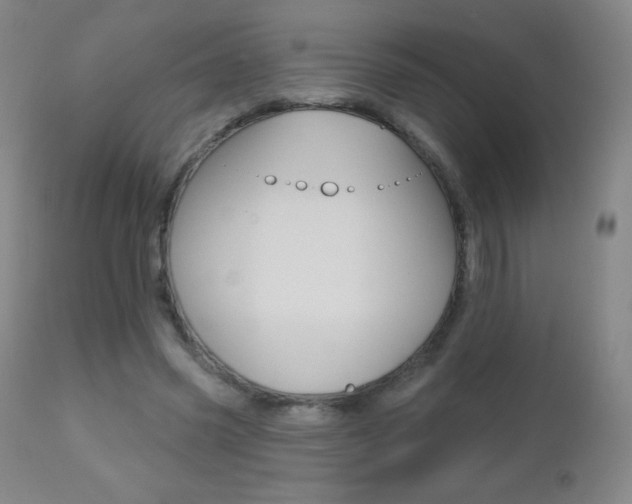 X0000112520541200908171115