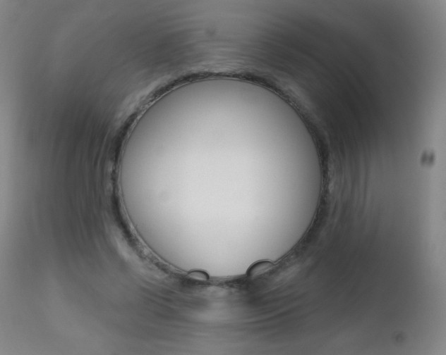 X0000112520542200908171115