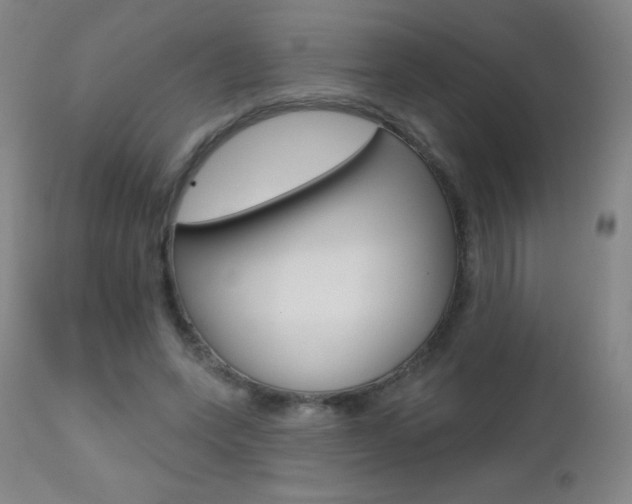 X0000112520543200908171115