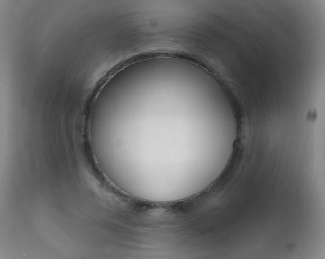 X0000112520544200908171115