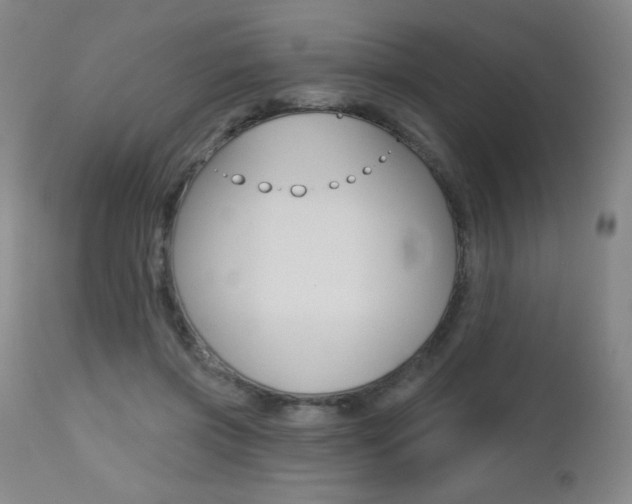 X0000112520549200908171115
