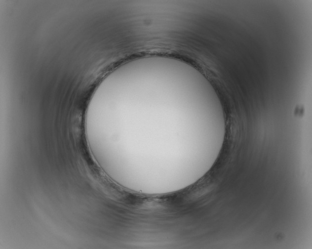 X0000112520550200908171115