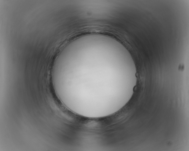 X0000112520551200908171115
