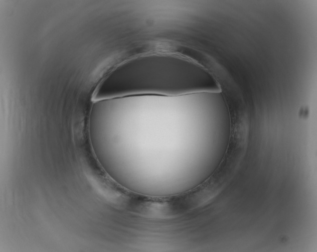 X0000112520552200908171115