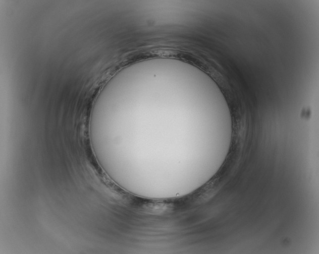 X0000112520553200908171115