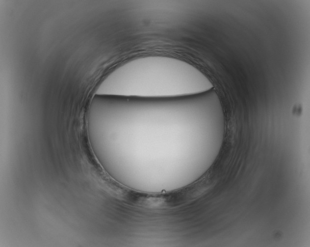 X0000112520554200908171115