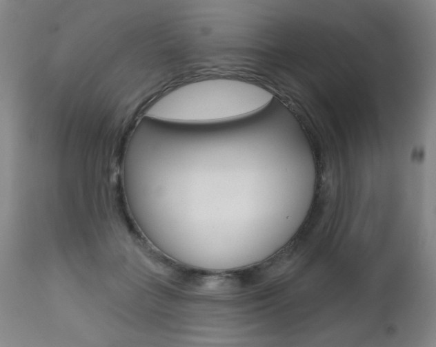 X0000112520555200908171115