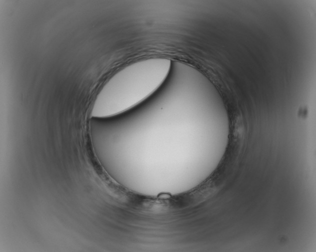 X0000112520559200908171115