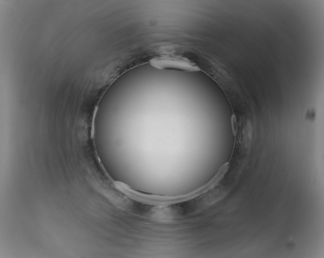 X0000112520562200908171115