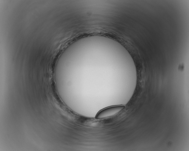 X0000112520563200908171115