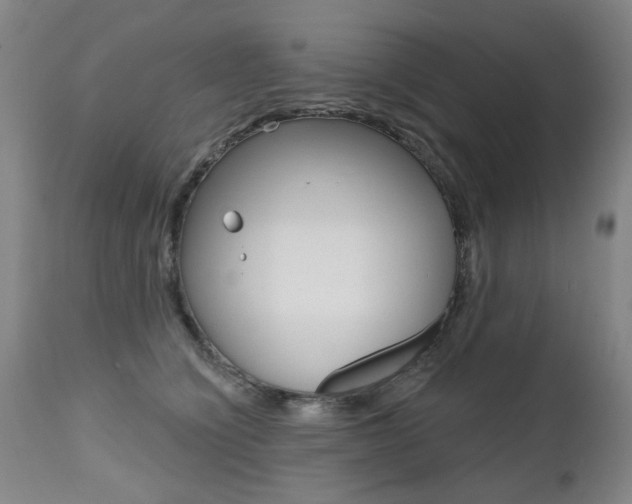 X0000112520564200908171115