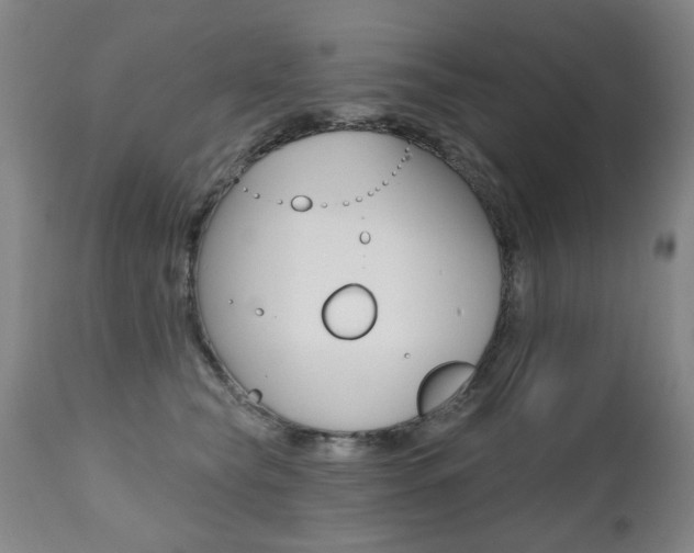 X0000112520565200908171115