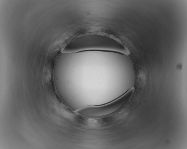 X0000112520566200908171115