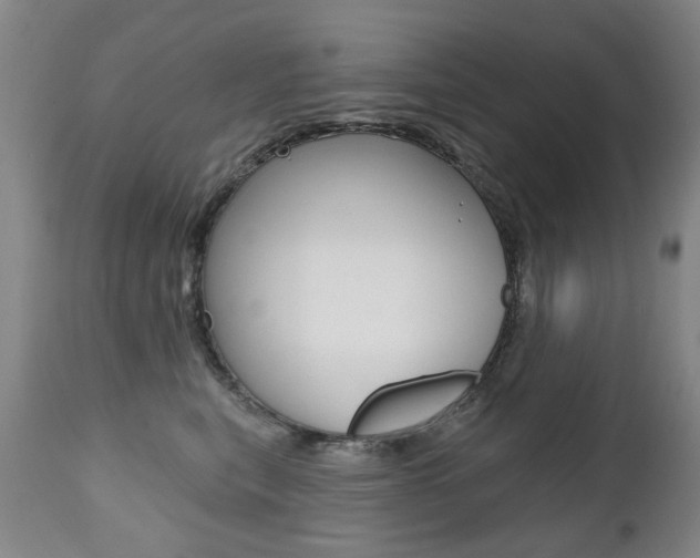X0000112520567200908171115