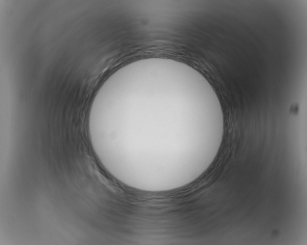 X0000112520568200908171115