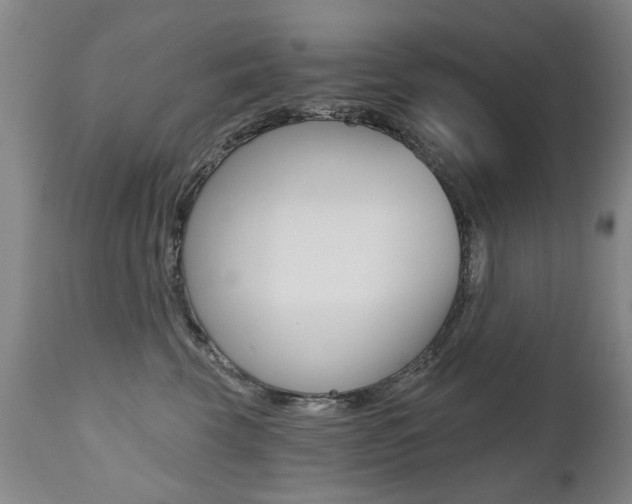 X0000112520569200908171116