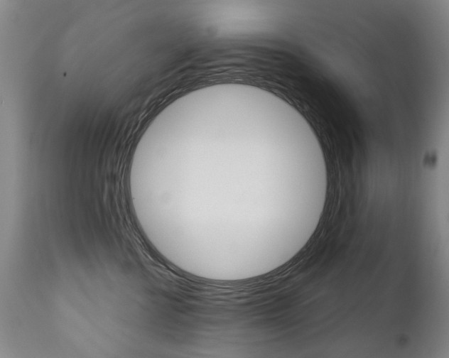 X0000112520570200908171116