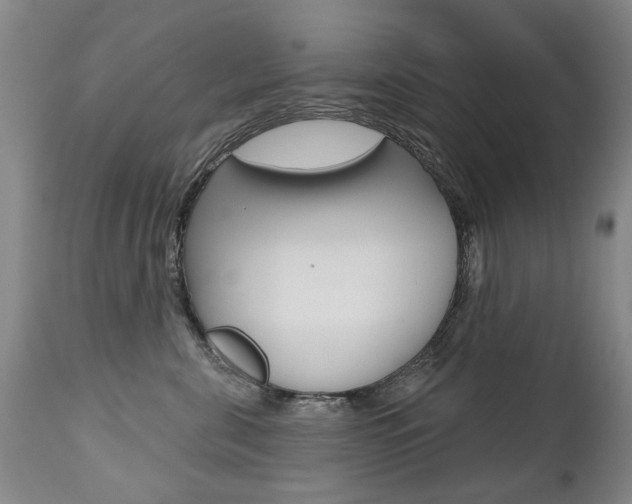 X0000112520571200908171116