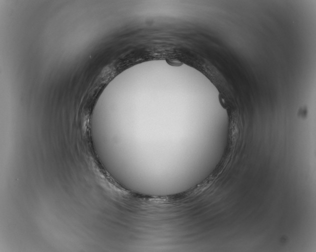 X0000112520574200908171116