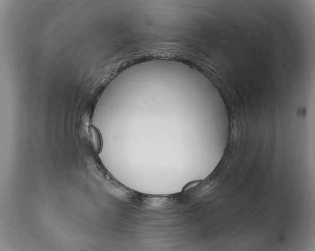 X0000112520575200908171116