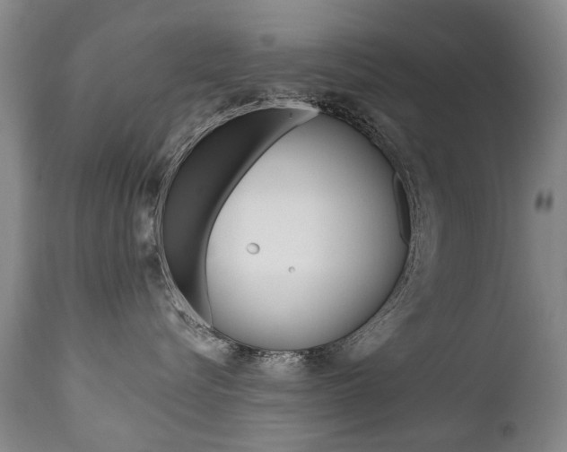 X0000112520576200908171116