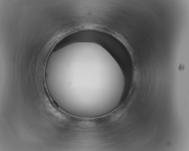 X0000112520577200908171115