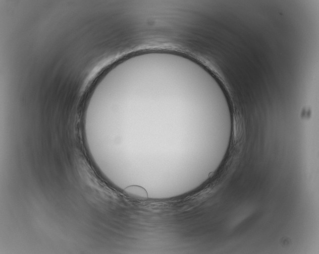 X0000112520579200908171115