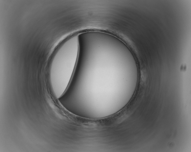 X0000112520580200908171115