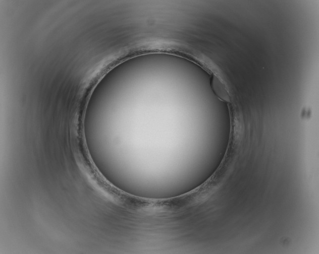 X0000112520581200908171115