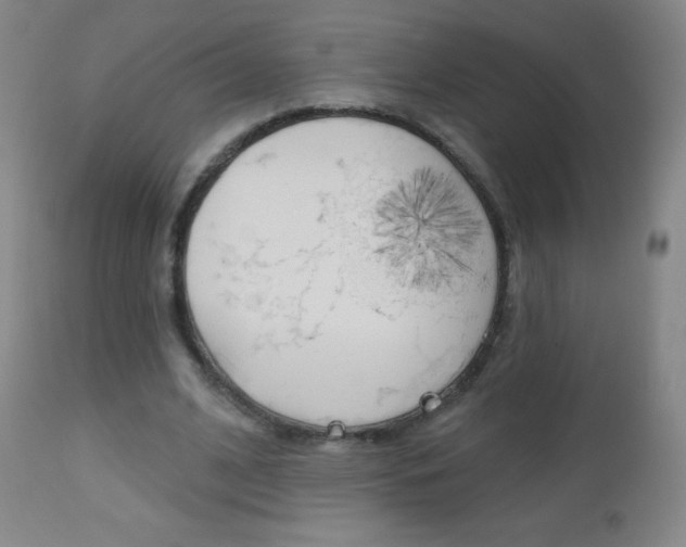 X0000112520584200908171115