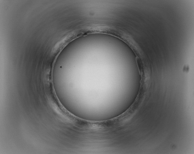 X0000112520585200908171115