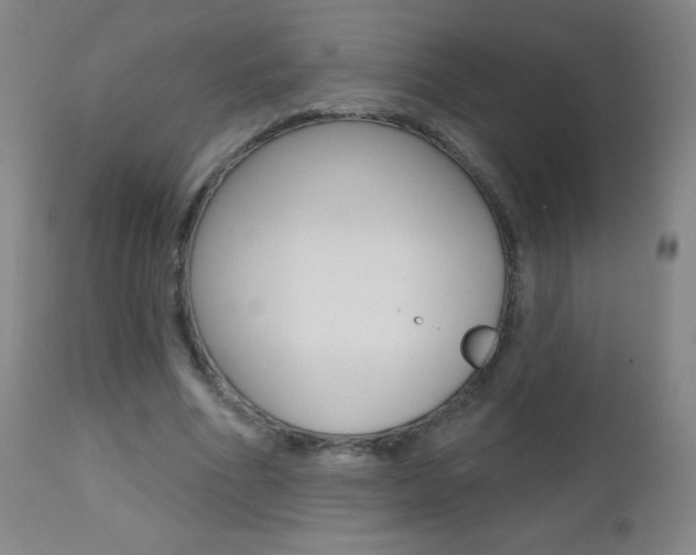 X0000112520586200908171115