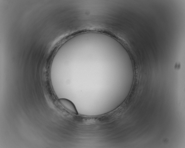 X0000112520587200908171115