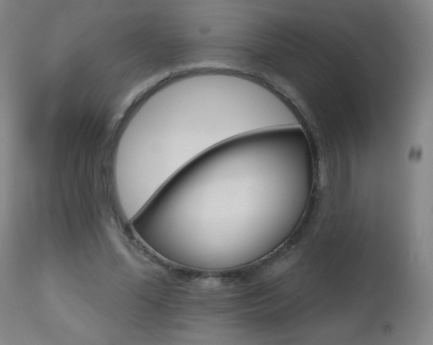 X0000112520588200908171115