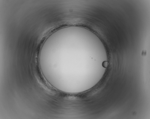 X0000112520590200908171115