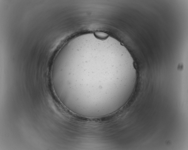 X0000112520592200908171114