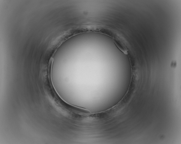 X0000112520593200908171114