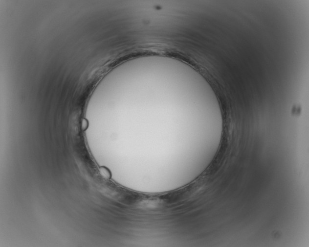 X0000112520595200908171114