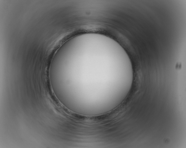 X0000112520596200908171114