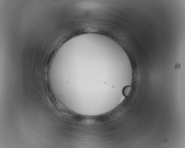 X0000112520598200908171114