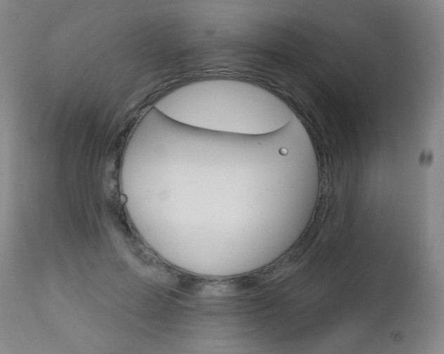 X0000112520599200908171114
