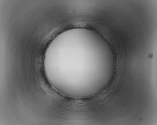 X0000112520600200908171114