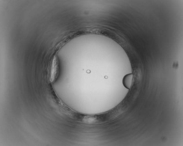 X0000112520602200908171114