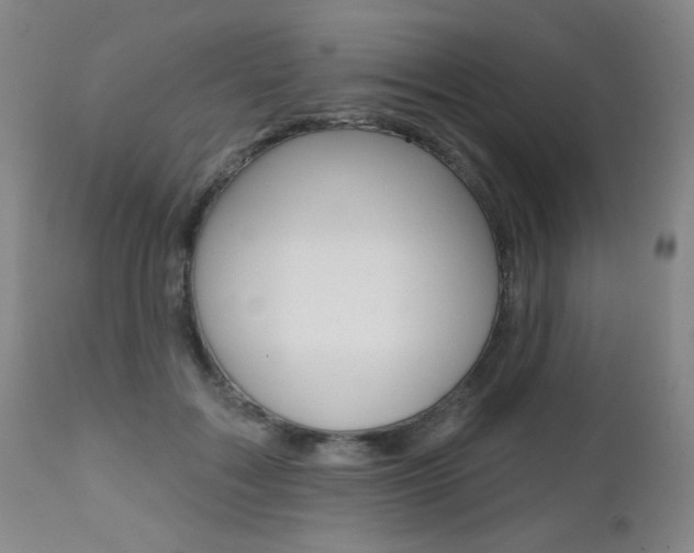 X0000112520603200908171114